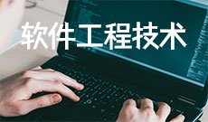 软件工程技术