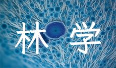 林学