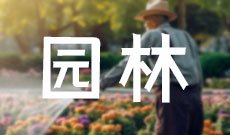 园林