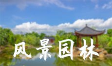 风景园林