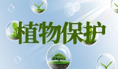 植物保护